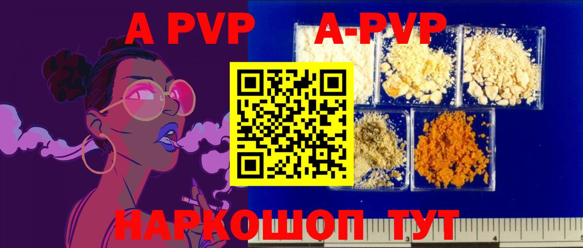 Alfa_PVP СК КРИС Кинель