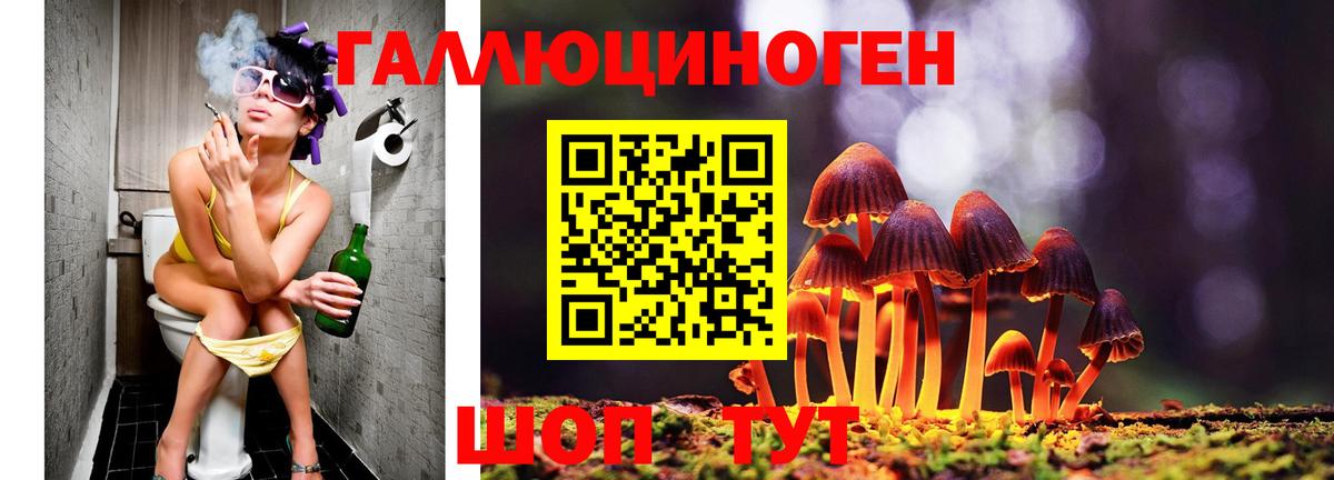 Галлюциногенные грибы GOLDEN TEACHER Кинель